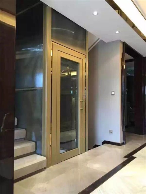 大型的家用电梯供应技术雄厚